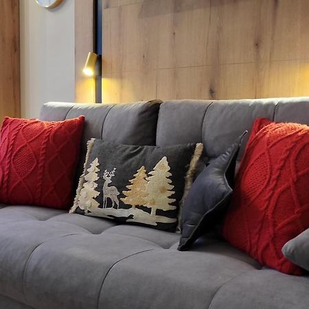 Pinewood Ang Luxurious Apartment A32 ボロヴェッツ エクステリア 写真