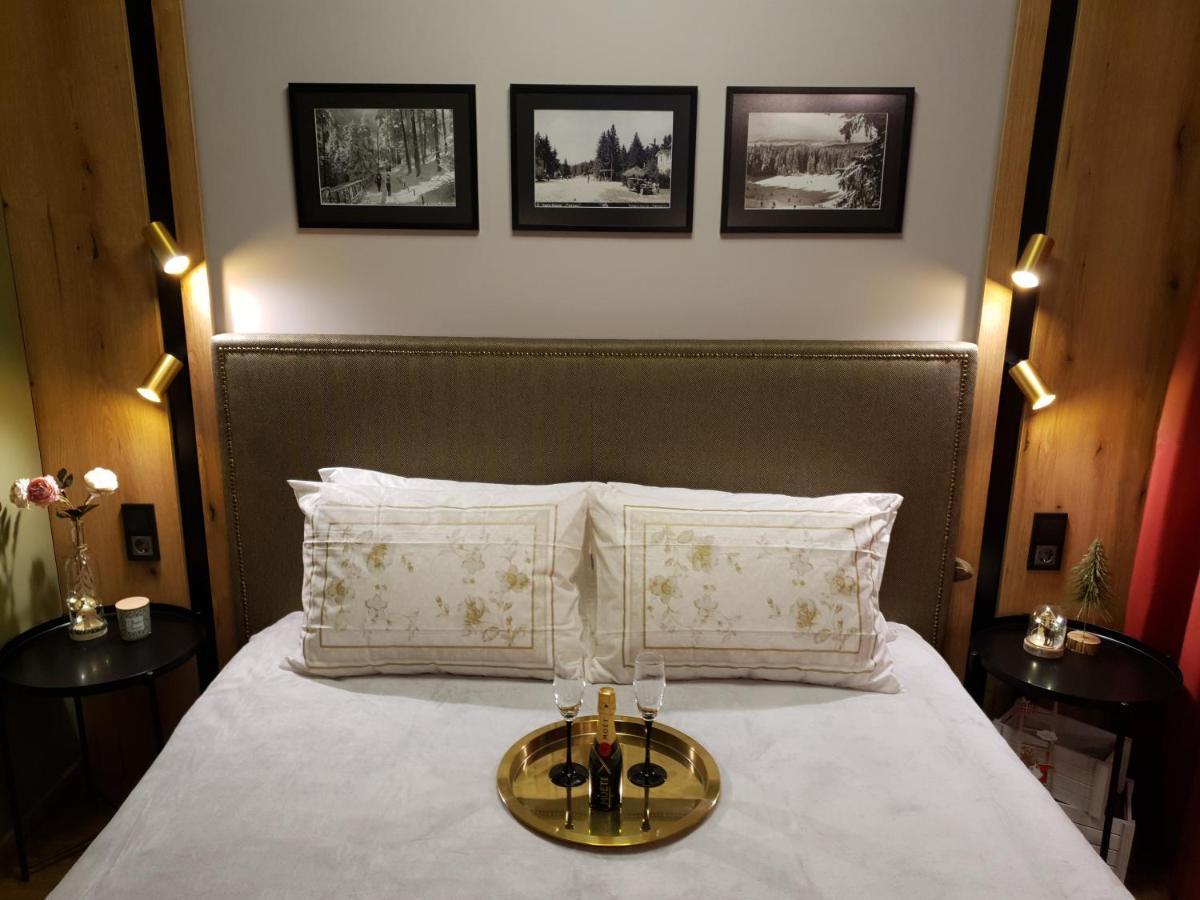 Pinewood Ang Luxurious Apartment A32 ボロヴェッツ エクステリア 写真
