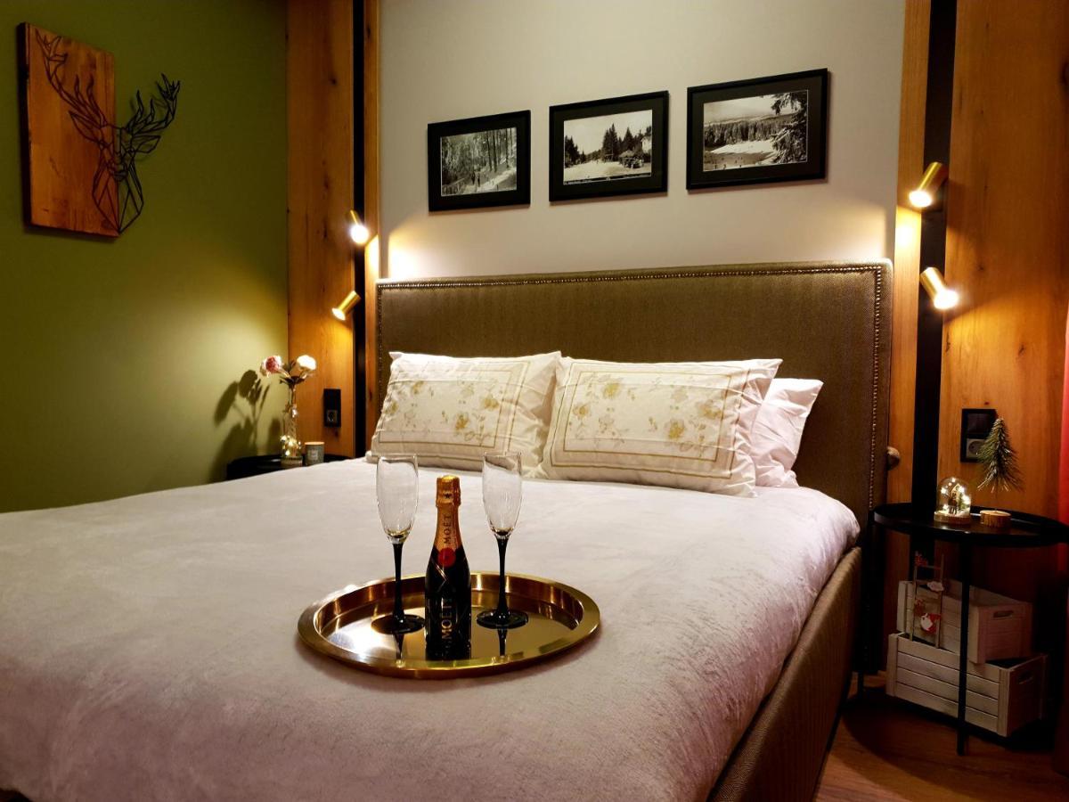 Pinewood Ang Luxurious Apartment A32 ボロヴェッツ エクステリア 写真