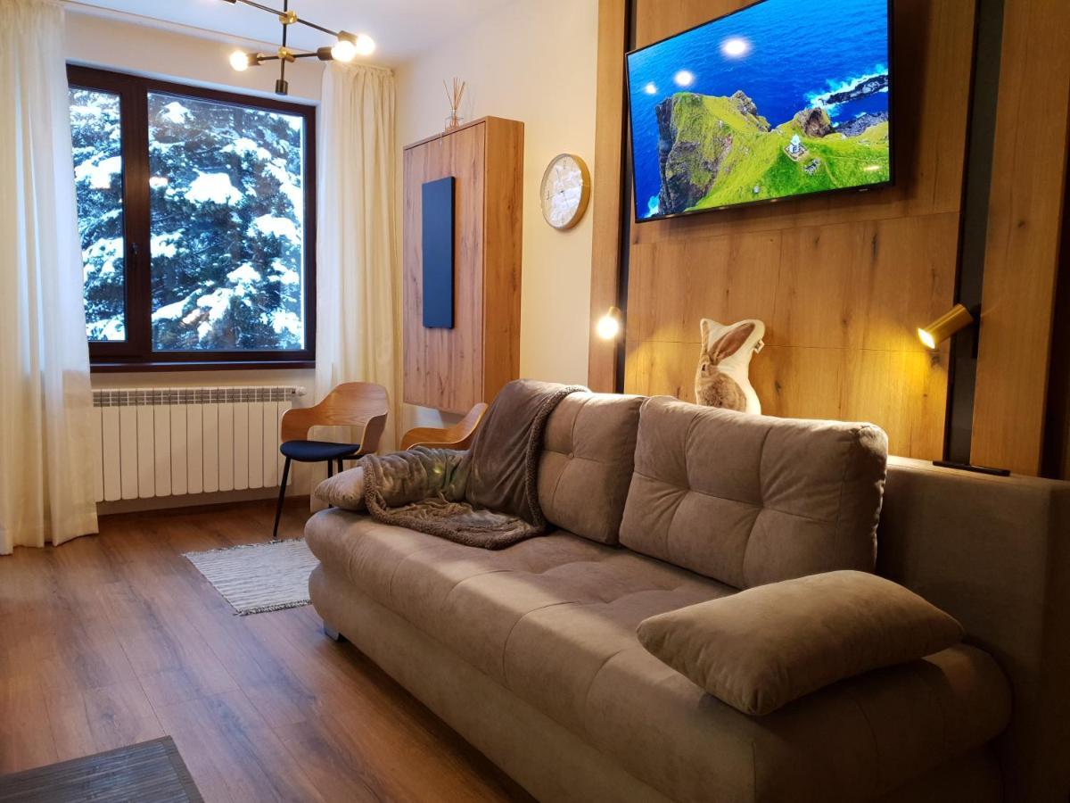Pinewood Ang Luxurious Apartment A32 ボロヴェッツ エクステリア 写真
