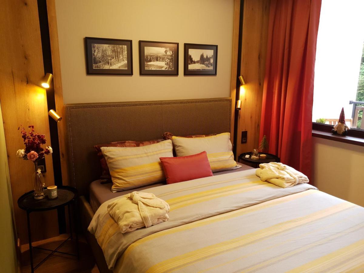 Pinewood Ang Luxurious Apartment A32 ボロヴェッツ エクステリア 写真