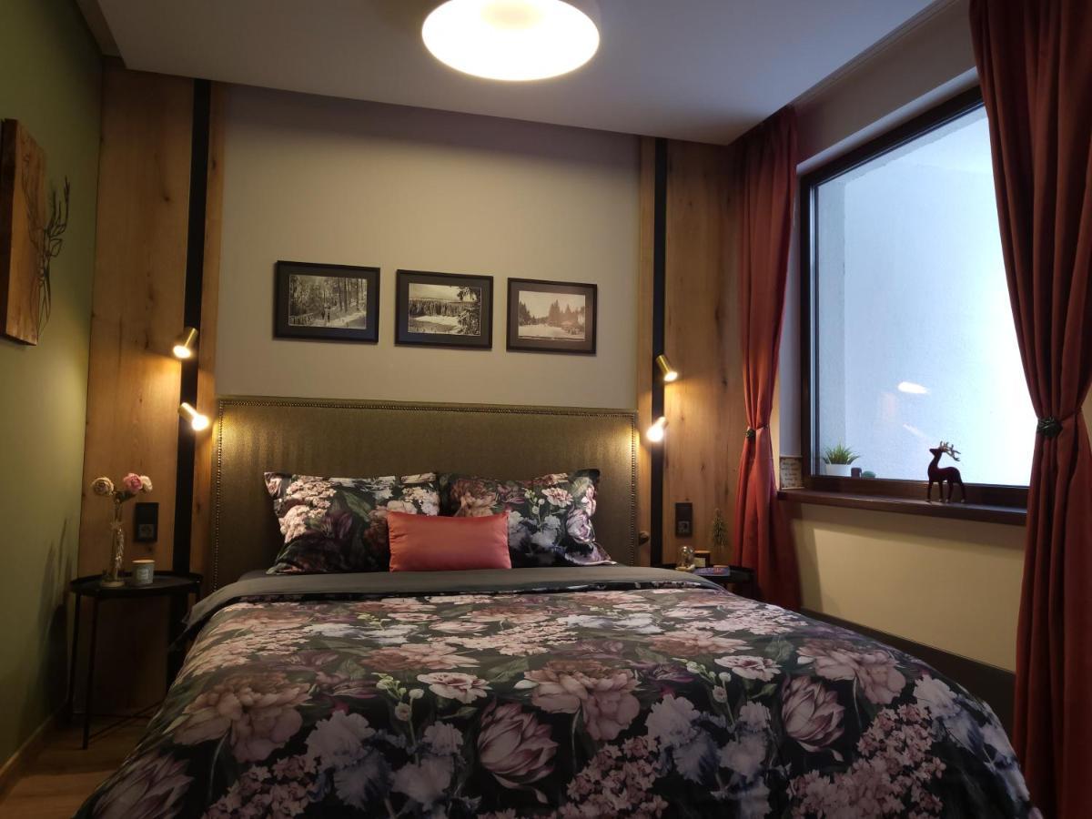 Pinewood Ang Luxurious Apartment A32 ボロヴェッツ エクステリア 写真