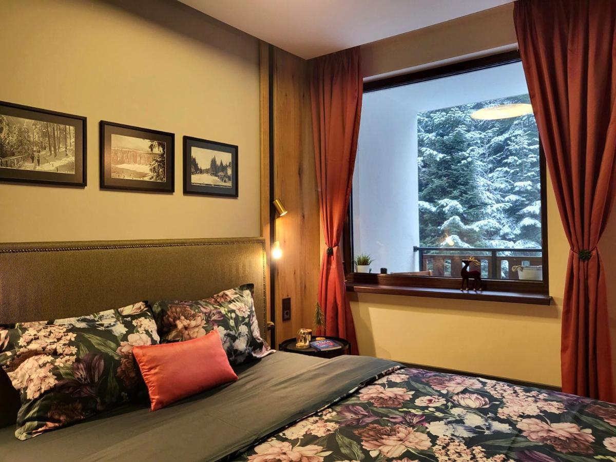 Pinewood Ang Luxurious Apartment A32 ボロヴェッツ エクステリア 写真