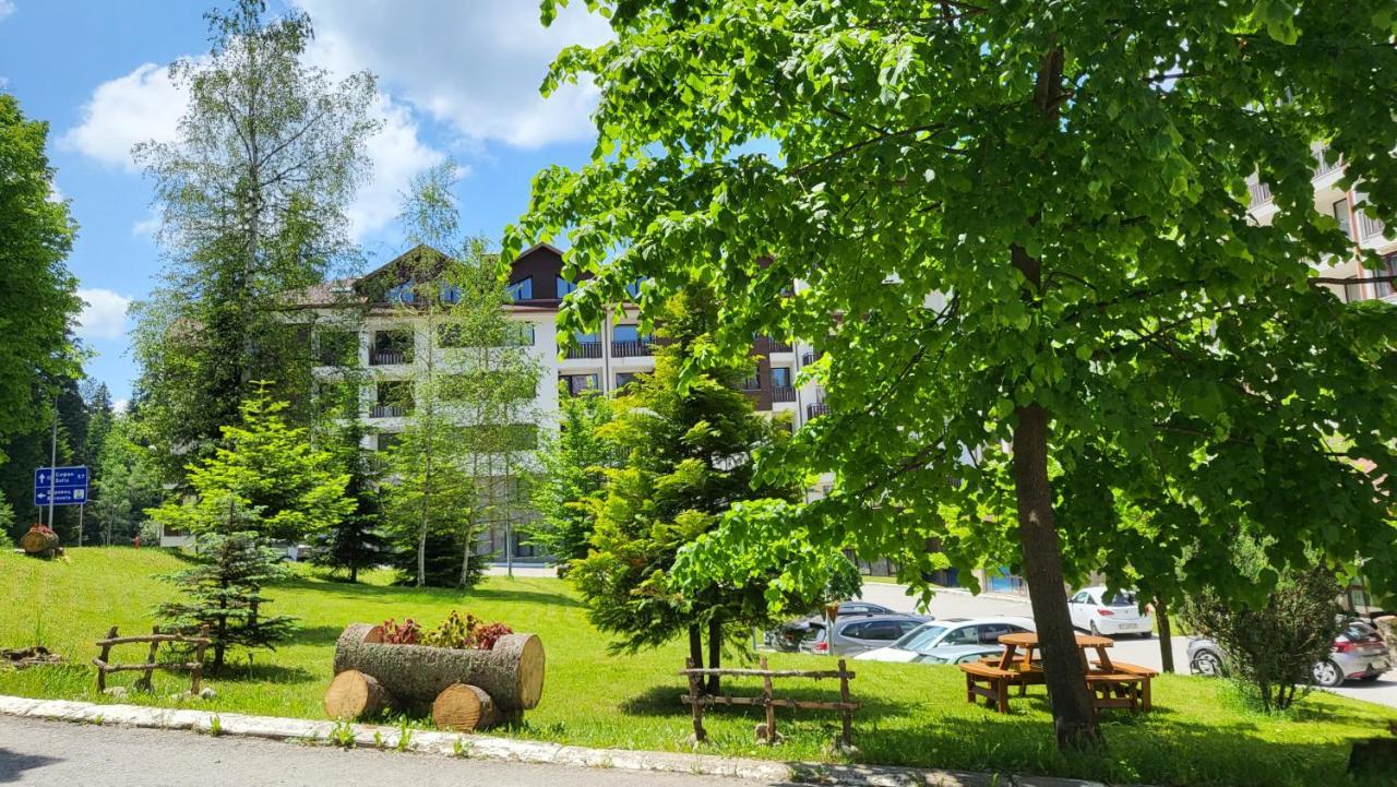 Pinewood Ang Luxurious Apartment A32 ボロヴェッツ エクステリア 写真